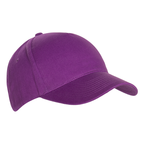 Бейсболка Бейсболка 10L цвет Фиолетовый